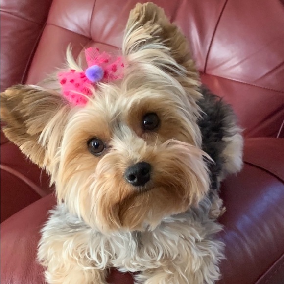 Meet your Posher, Erin - Picture 4 of 5